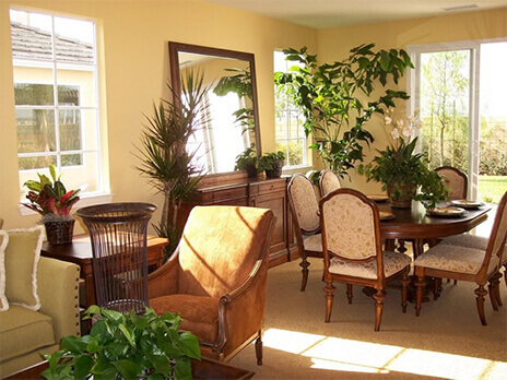 Living Room Filled with Sunlight